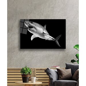Köpek Balığı Hayvancam Tablo 110x70 cm