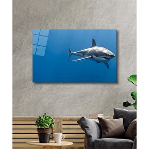 Köpek Balığı Cam Tablo Shark 90x60 cm