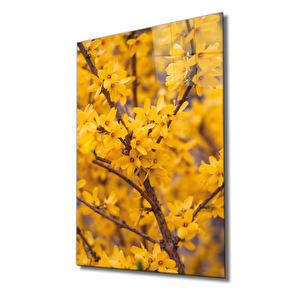 Sarı Dal Cam Tablo Yellow Brench 36x23 cm