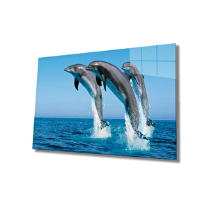 Yunus Balıkları Cam Tablo Dolphins 36x23 cm