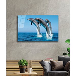 Yunus Balıkları Cam Tablo Dolphins 90x60 cm