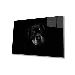 Köpek Hayvancam Tablo 36x23 cm