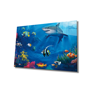 Köpek Balığı Cam Tablo Shark 50x70 cm
