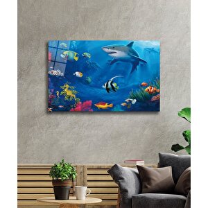 Köpek Balığı Cam Tablo Shark 50x70 cm