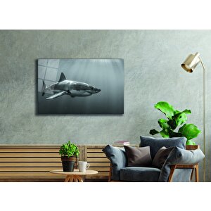 Köpek Balığıcam Tablo 50x70 cm