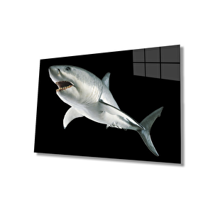 Köpek Balığı Hayvan Cam Tablo 110x70 cm