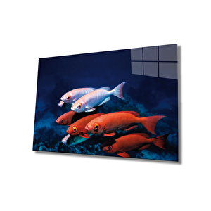 Kırmızı Beyaz Balıklar Cam Tablo Red White Fishes 50x70 cm
