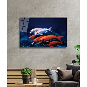 Kırmızı Beyaz Balıklar Cam Tablo Red White Fishes 50x70 cm