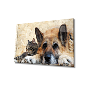 Kedi Köpek 36x23 cm