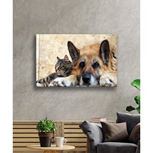 Kedi Köpek 36x23 cm