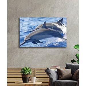 Yunus Balıkları Cam Tablo Dolphins 50x70 cm
