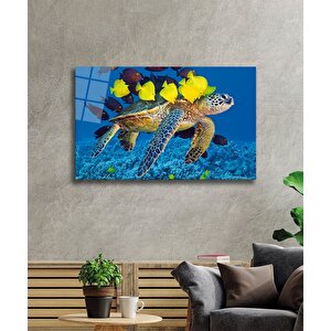 Deniz Kaplumbağası Ve Balıklar Cam Tablo 36x23 cm