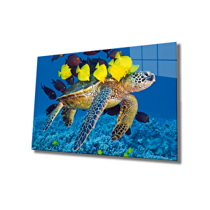 Deniz Kaplumbağası Ve Balıklar Cam Tablo