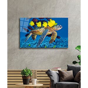 Deniz Kaplumbağası Ve Balıklar Cam Tablo 90x60 cm