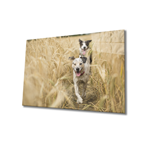 Köpek Cam Tablo 36x23 cm