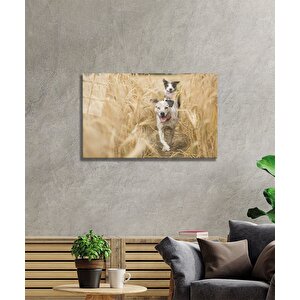 Köpek Cam Tablo 36x23 cm