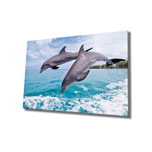 Yunus Balıkları Cam Tablo Dolphins 50x70 cm