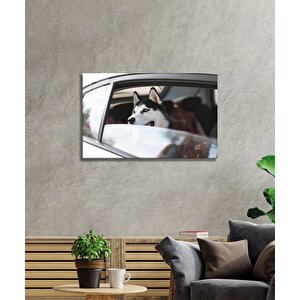 Köpek Camtablo 50x70 cm