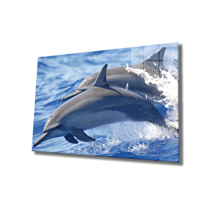Yunus Balıkları Cam Tablo Dolphins 36x23 cm