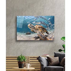 Su Kaplumbağası Balıklar Sualtı Cam Tablo 50x70 cm