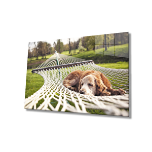 Köpek Cam Tablo 50x70 cm