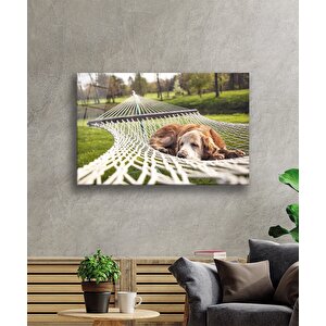 Köpek Cam Tablo 50x70 cm
