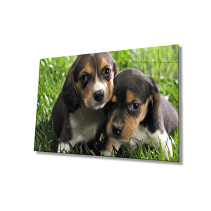 Köpek Cam Tablo 36x23 cm