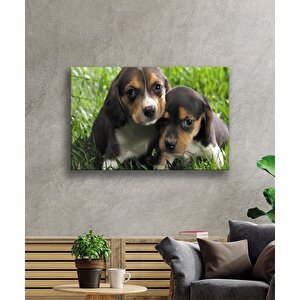 Köpek Cam Tablo 36x23 cm
