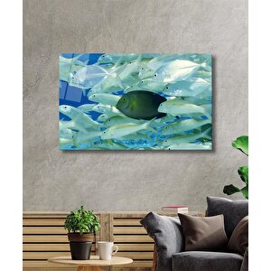 Balıklar Sualtı Cam Tablo Marine Life Fishes 110x70 cm