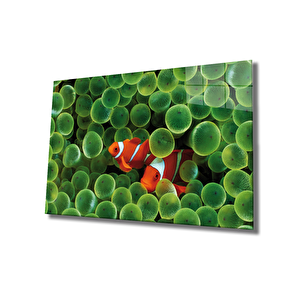 Turuncu Balıklar Cam Tablo Orange 36x23 cm