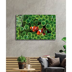 Turuncu Balıklar Cam Tablo Orange 36x23 cm