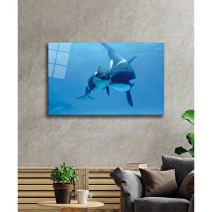 Köpek Balıkları Cam Tablo Sharks 110x70 cm