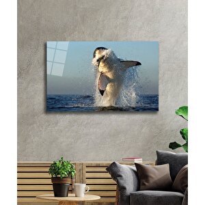 Köpek Balığı Cam Tablo Shark 36x23 cm