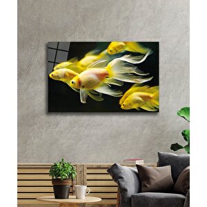 Sarı Balıklar Cam Tablo Yellow Fishes 36x23 cm