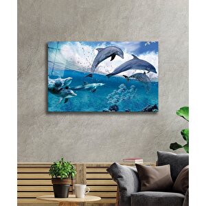 Yunus Balıkları Cam Tablo Dolphins 36x23 cm