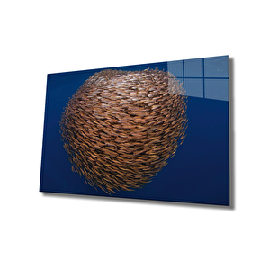 Toplu Balıklar Cam Tablo Fishes Marine 110x70 cm