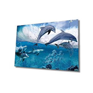Yunus Balıkları Cam Tablo Dolphins 50x70 cm