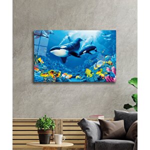 Yunus Balıklar Sualtı Hayatı Cam Tablo 50x70 cm