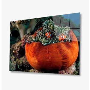 Turuncu Balıklar Cam Tablo Orange 90x60 cm