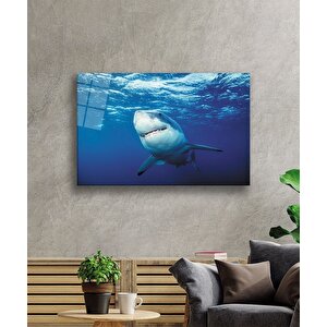 Köpek Balığı Sualtı Cam Tablo 50x70 cm