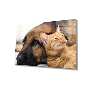 Kedi Köpek 36x23 cm