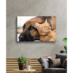 Kedi Köpek 36x23 cm