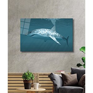 Köpek Balığı Cam Tablo Shark 50x70 cm