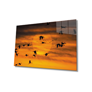Gün Batımında Kuşlar Cam Tablo 50x70 cm