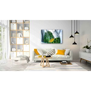 Meyve Cam Tablo 36x23 cm