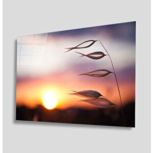 Gün Batımı Cam Tablo 50x70 cm