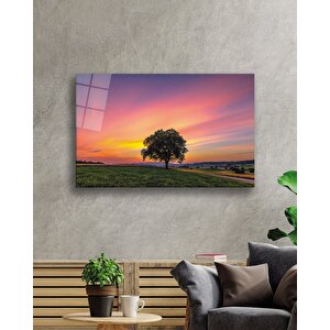 Gün Batımı Manzarasında Yalnız Ağaç 50x70 cm