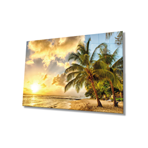 Gün Batımı Deniz Palmiye Manzara Cam Tablo 50x70 cm