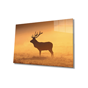 Gün Batımı Manzarasında Geyik Cam Tablo 50x70 cm