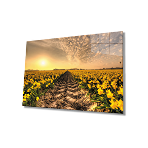Gün Batımı Toprak Sarı Çiçekler Cam Tablo 36x23 cm